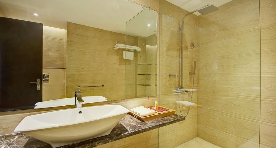 Palm Spring Medi Spa & Stays Hotel, New Delhi 5